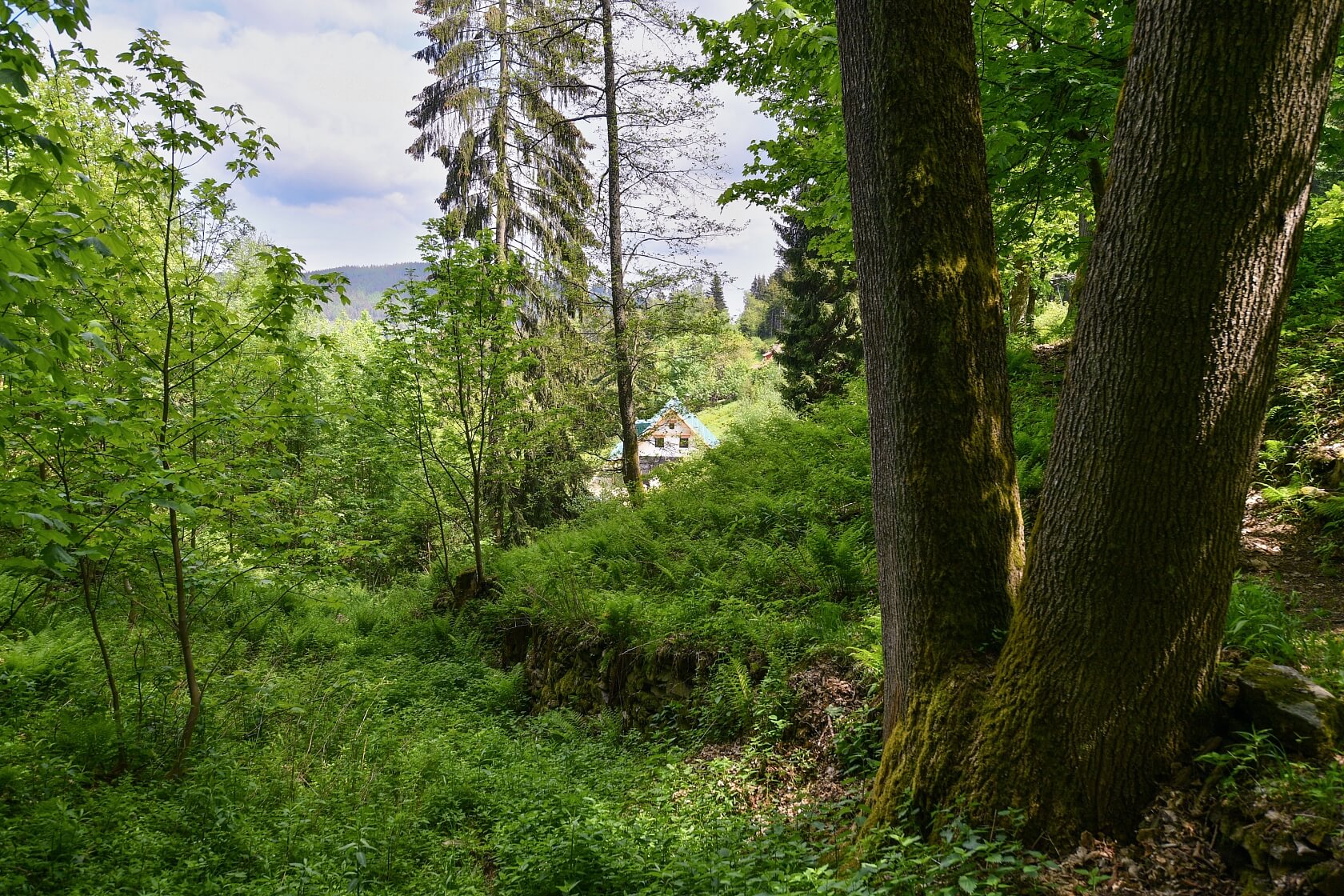 Hořejší Vrchlabí, Vrchlabí - Trutnov | Prodej, Rodinný dům 5+kk, 143 m²