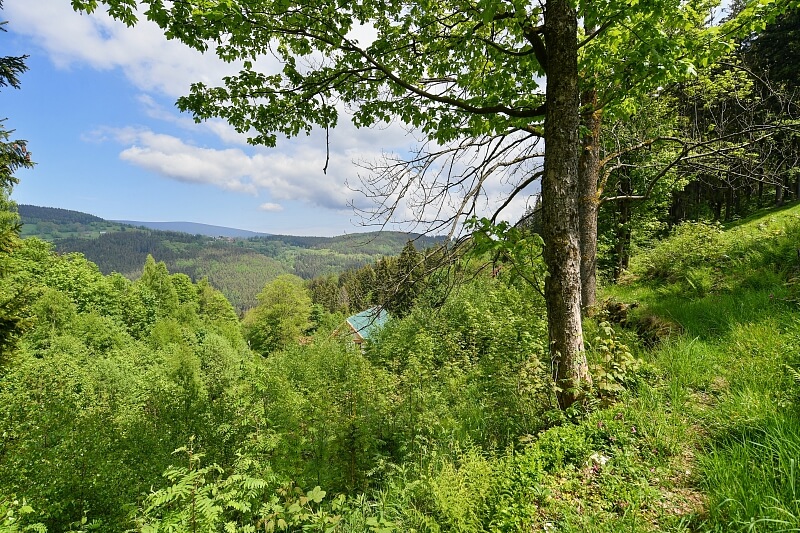 Hořejší Vrchlabí, Vrchlabí - Trutnov | Prodej, Rodinný dům 5+kk, 143 m²