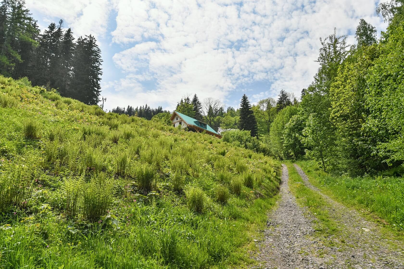 Hořejší Vrchlabí, Vrchlabí - Trutnov | Prodej, Rodinný dům 5+kk, 143 m²