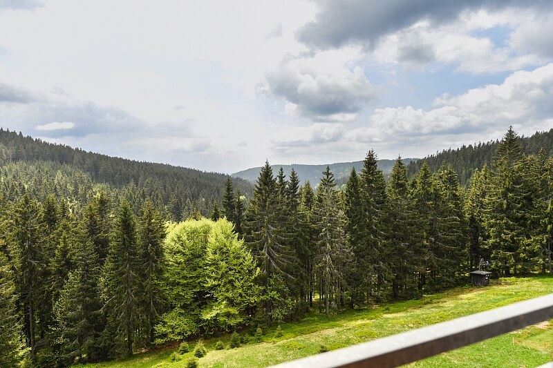 Pec pod Sněžkou - Trutnov | Sale, Apartment One-bedroom (2+kk), 43 m²