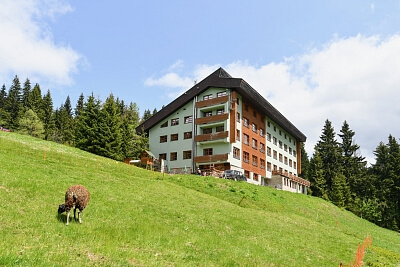 Pec pod Sněžkou - Trutnov | Sale, Apartment One-bedroom (2+kk), 43 m²