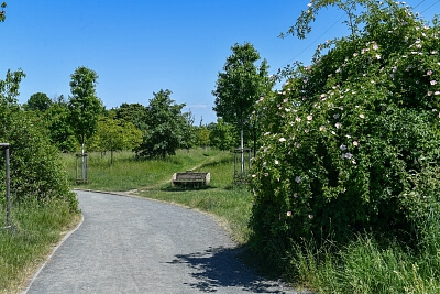 Oldřichovská, Ďáblice - Praha 8 | Pronájem, Rodinný dům 5+kk, 169 m²