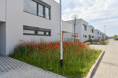 Schollova, Čakovice - Praha 9 | Prodej, Developerský projekt