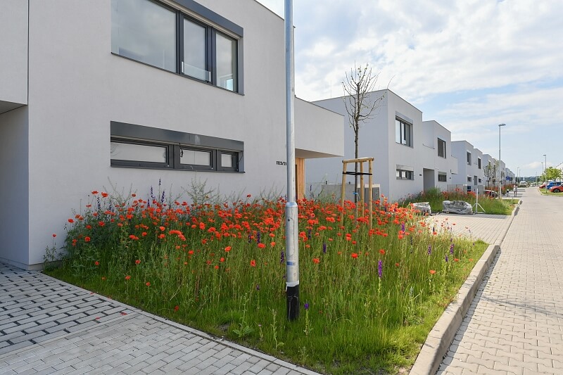 Schollova, Čakovice - Prague 9 | Sale, Residential project