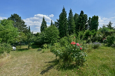 K Ovčínu, Kobylisy - Praha 8 | Pronájem, Byt 3+kk, 80 m²