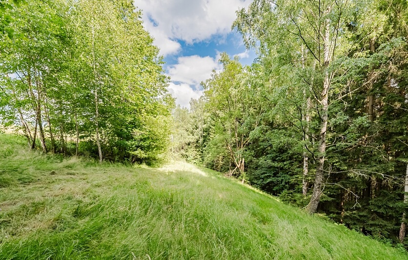 Poniklá - Semily | Prodej, Rodinný dům 4+kk, 90 m²