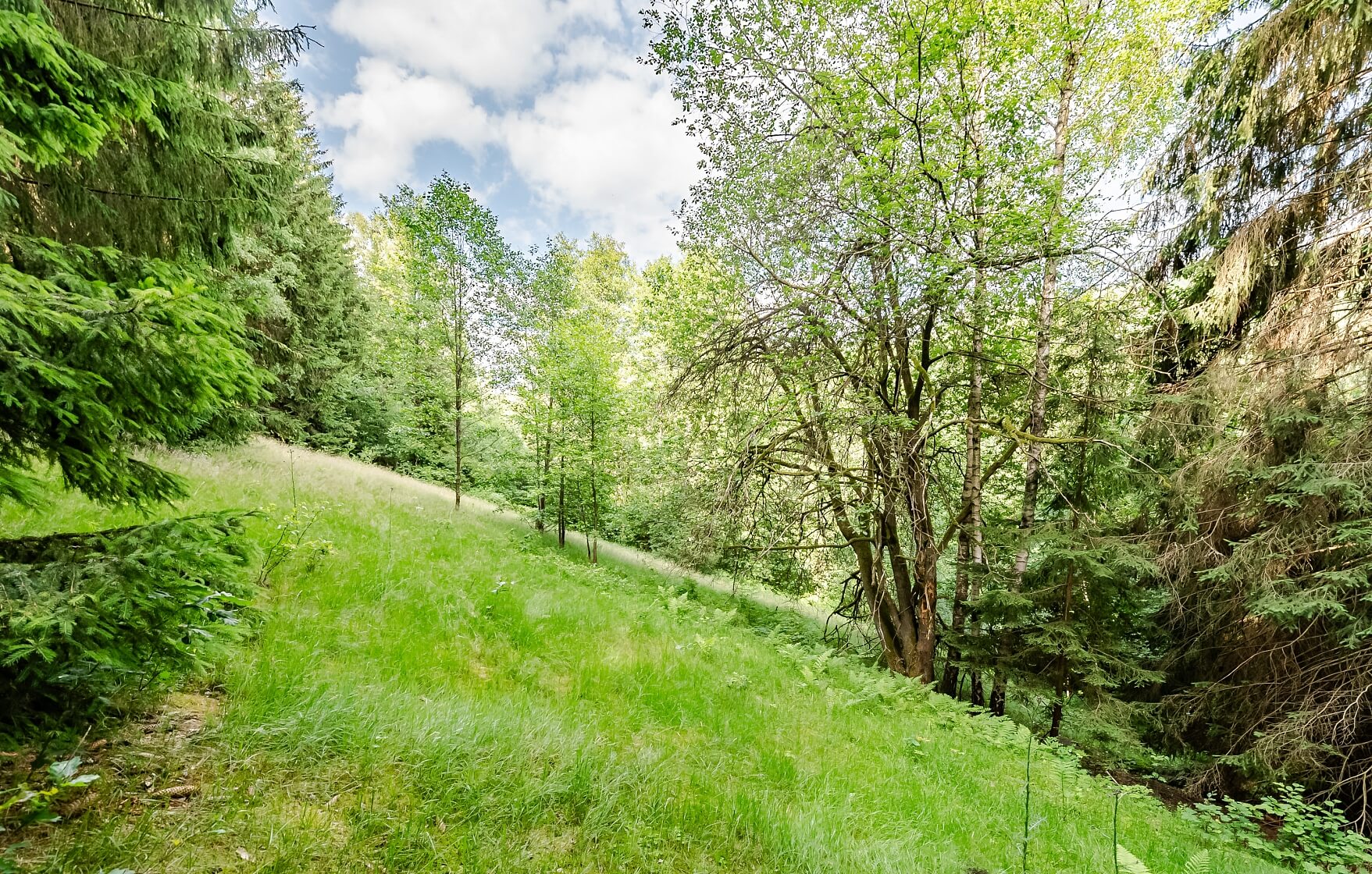 Poniklá - Semily | Prodej, Rodinný dům 4+kk, 90 m²