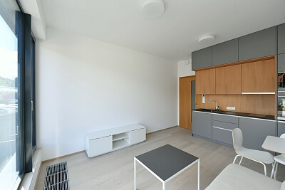 Na Dračkách, Veleslavín - Praha 6 | Pronájem, Byt 1+kk, 28 m²