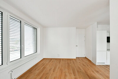 Jankovcova, Holešovice - Prague 7 | Rent, Apartment One-bedroom (2+kk), 53 m²