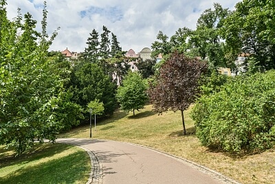 U Havlíčkových sadů, Vinohrady - Praha 2 | Pronájem, Byt 2+kk, 48 m²