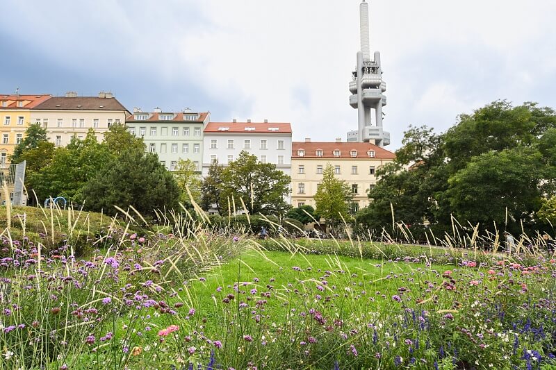 Bořivojova, Vinohrady - Praha 3 | Pronájem, Byt 2+kk, 42 m²