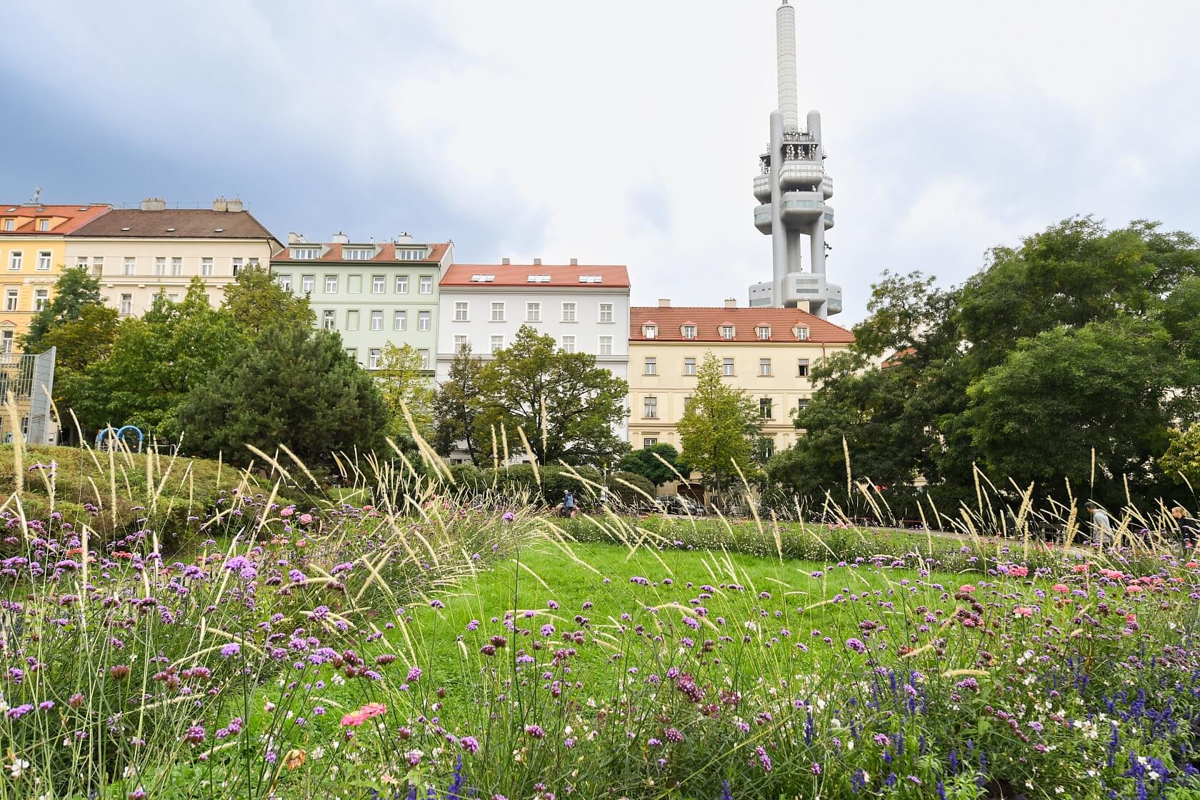 Bořivojova, Vinohrady - Prague 3 | Rent, Apartment One-bedroom (2+kk), 46 m²