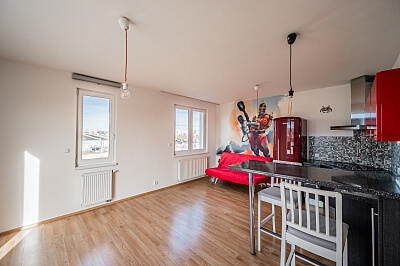 Radouňova, Stodůlky - Praha 5 | Pronájem, Byt 1+kk, 128 m²