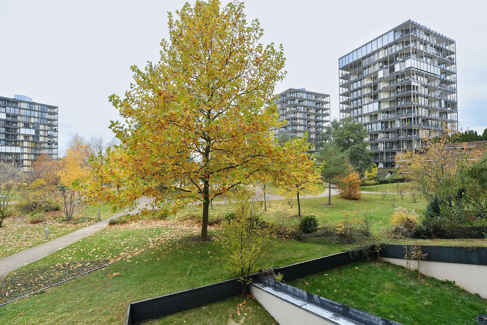 Ke Kapslovně, Žižkov - Praha 3 | Pronájem, Byt 1+kk, 56 m²