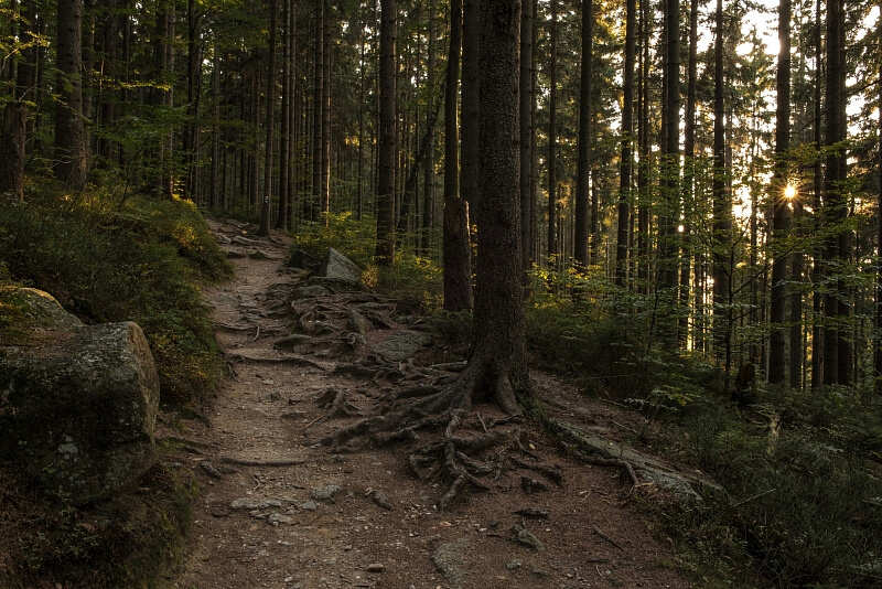 Jablonec nad Nisou | Sale, Apartment Two-bedroom (3+kk), 62 m²