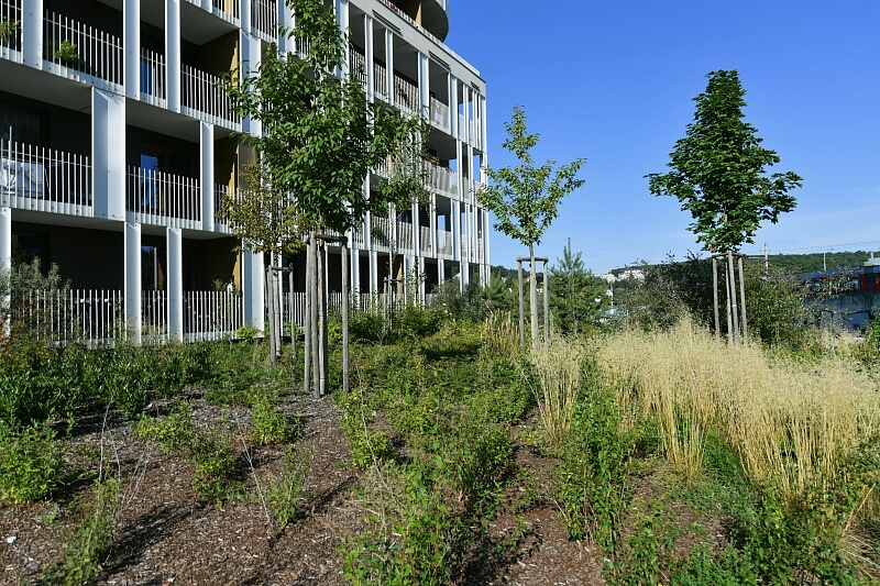 Mezi vodami, Modřany - Praha 4 | Pronájem, Byt 2+kk, 66 m²