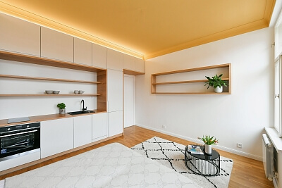 Vítkova, Karlín - Prague 8 | Rent, Apartment Studio (1+kk), 27 m²
