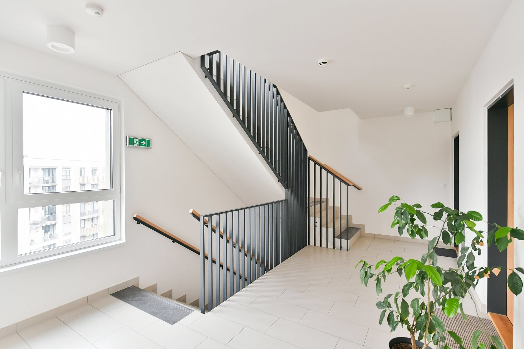 Olgy Havlové, Žižkov - Prague 3 | Rent, Apartment One-bedroom (2+kk), 61 m²