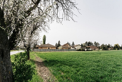 Tř. Jana Švermy, Pečky - Kolín | Prodej, Pozemek, 2 900 m²