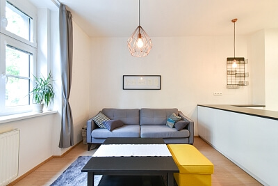 Hájkova, Žižkov - Prague 3 | Sale, Apartment One-bedroom (2+kk), 56 m²