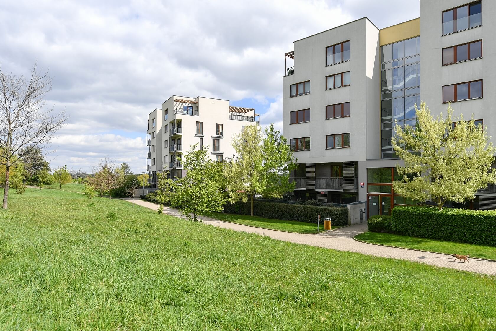 V Třešňovce, Hrdlořezy - Praha 9 | Pronájem, Byt 3+kk, 98 m²