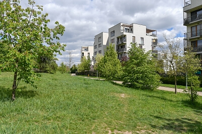 V Třešňovce, Hrdlořezy - Praha 9 | Pronájem, Byt 3+kk, 98 m²