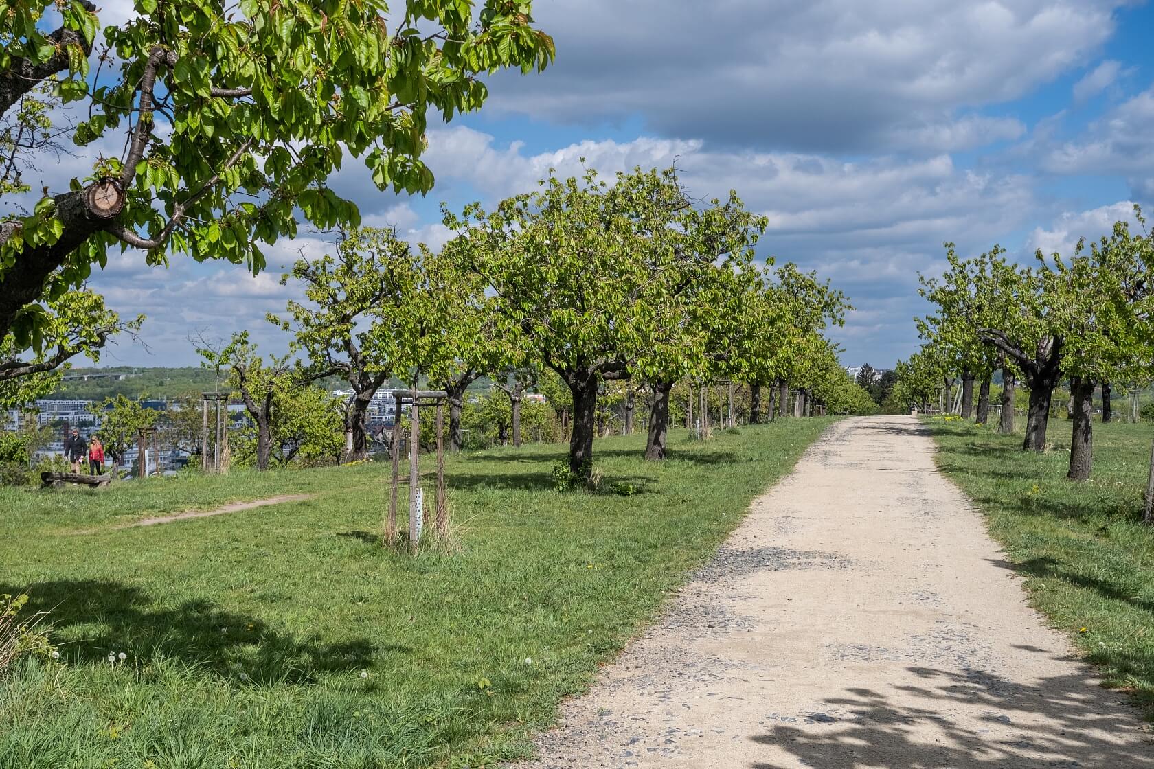 V třešňovce, Hrdlořezy - Prague 9 | Rent, Apartment Two-bedroom (3+kk), 98 m²