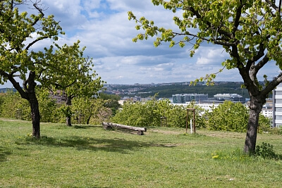 V Třešňovce, Hrdlořezy - Praha 9 | Pronájem, Byt 3+kk, 98 m²