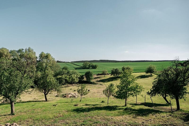 Hvožďany, Bechyně - Tábor | Prodej, Rodinný dům 6+kk, 300 m²