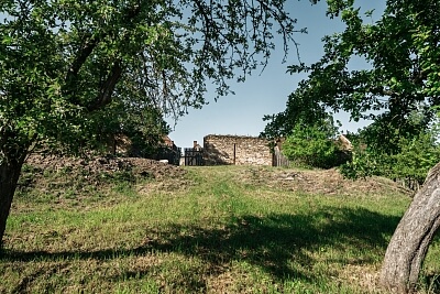 Bechyně - Tábor | Sale, House Five-bedroom (6+kk), 300 m²