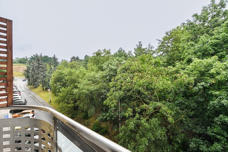 Lumírova, Nusle - Prague 2 | Sale, Apartment Two-bedroom (3+kk), 100 m²