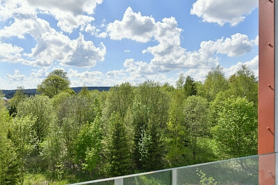 Vítězná, Abertamy - Karlovy Vary | Prodej, Byt 3+kk, 65 m²