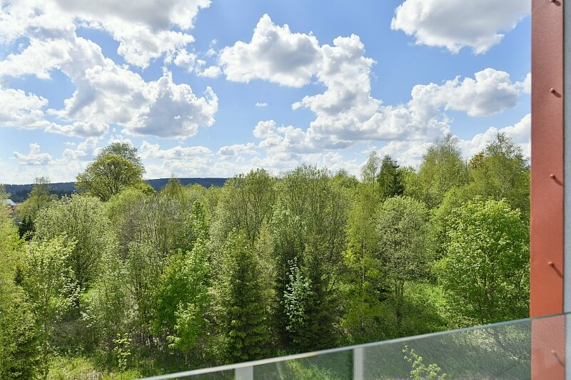 Vítězná, Abertamy - Karlovy Vary | Sale, Apartment Two-bedroom (3+kk), 65 m²