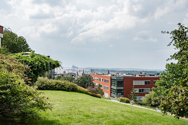 Vlkova, Žižkov - Prague 3 | Sale, Apartment One-bedroom (2+kk), 41 m²