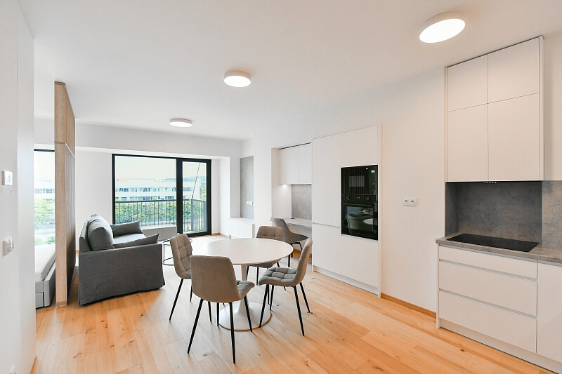 V Háji, Holešovice - Prague 7 | Rent, Apartment Studio (1+kk), 47 m²