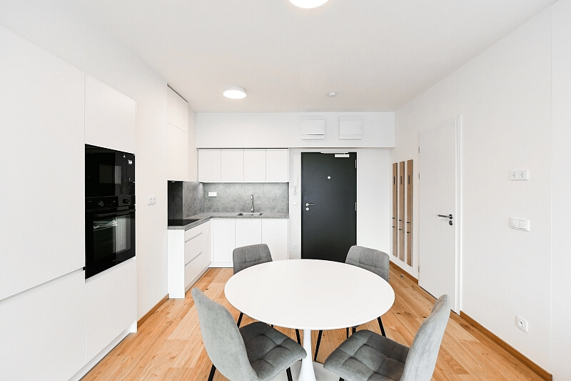 V Háji, Holešovice - Prague 7 | Rent, Apartment Studio (1+kk), 47 m²