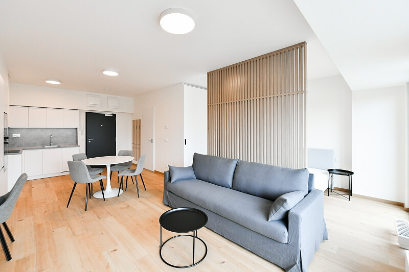 V Háji, Holešovice - Prague 7 | Rent, Apartment Studio (1+kk), 47 m²