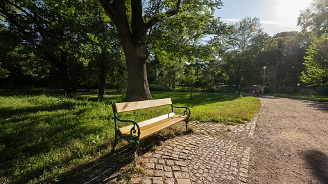 Schodová, Černá Pole - Brno-město | Rent, Apartment Two-bedroom (3+1), 145 m²