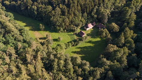 Pavlíkov - Rakovník | Sale, House Five-bedroom (6+kk), 869 m²