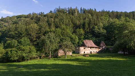 Pavlíkov - Rakovník | Sale, House Five-bedroom (6+kk), 869 m²