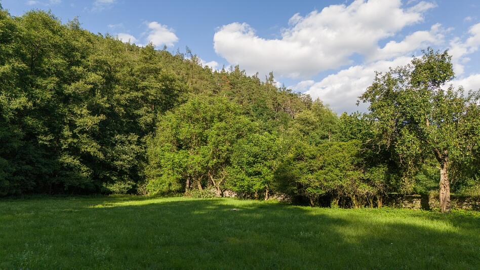 Skřivaň, Pavlíkov - Rakovník | Prodej, Rodinný dům 6+kk, 869 m²