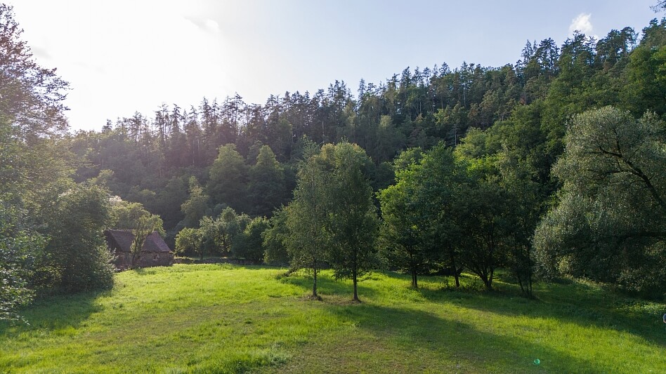 Pavlíkov - Rakovník | Sale, House Five-bedroom (6+kk), 869 m²