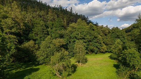 Pavlíkov - Rakovník | Sale, House Five-bedroom (6+kk), 869 m²