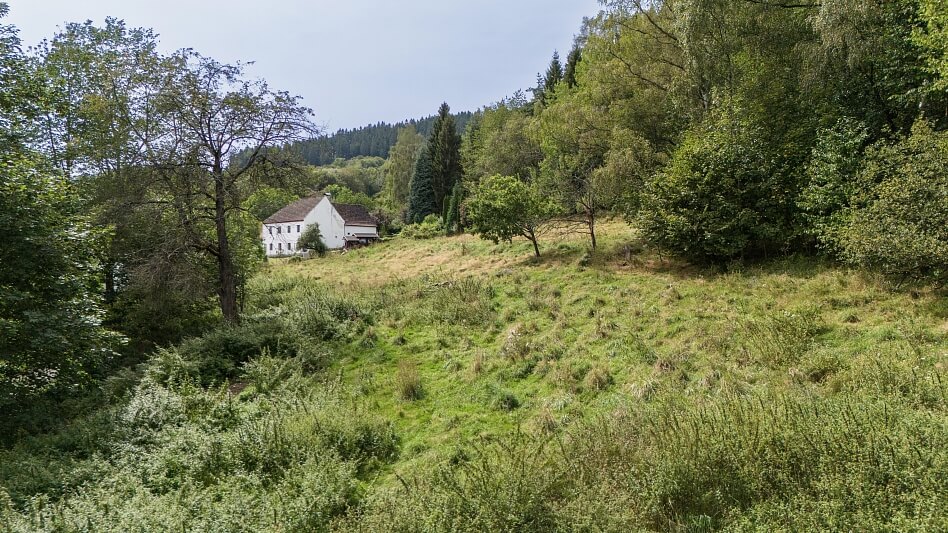 Střítež - Český Krumlov | Prodej, Pozemek, 6 881 m²