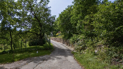 Střítež - Český Krumlov | Prodej, Pozemek, 6 881 m²