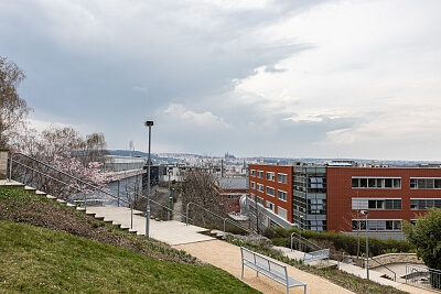 Vlkova, Žižkov - Prague 3 | Rent, Apartment One-bedroom (2+kk), 41 m²