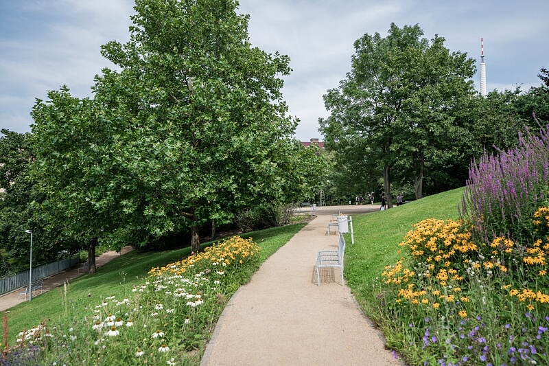 Vlkova, Žižkov - Prague 3 | Rent, Apartment One-bedroom (2+kk), 41 m²