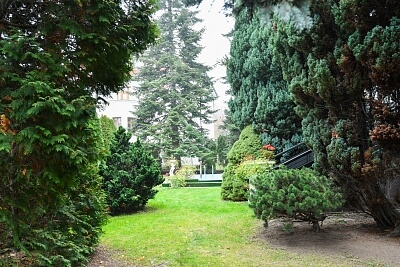 Nad Vodovodem, Strašnice - Praha 10 | Pronájem, Rodinný dům 7+1, 270 m²